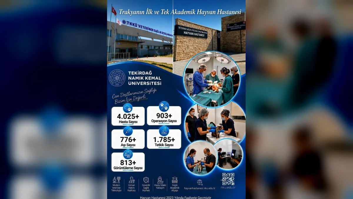 Tekirdağ Namık Kemal Üniversitesi akademik hayvan hastanesinde veteriner hekimin evcil hayvanı muayene etmesi