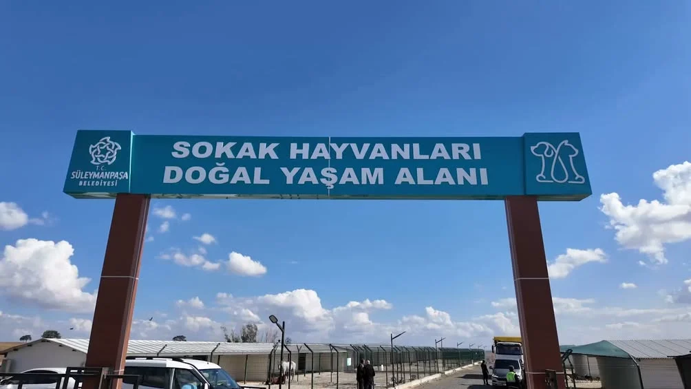 Süleymanpaşa’da Sokak Dostlarına Özel Yaşam Alanı