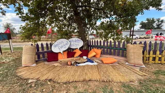 Alibeyköy Fıstık Hasadı Festivali Başladı