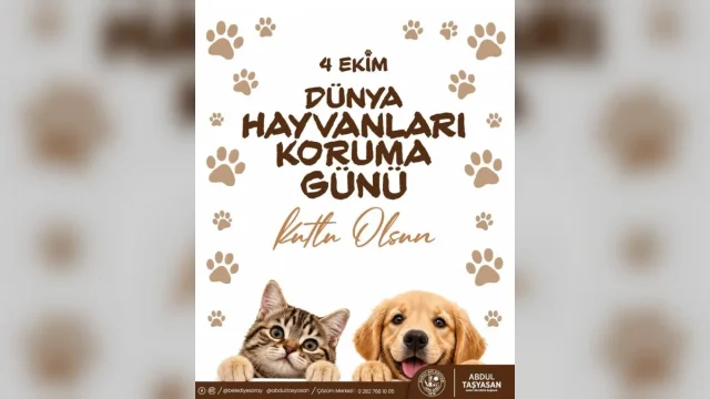 4 Ekim’de Hayvan Dostlarımıza Sahip Çık