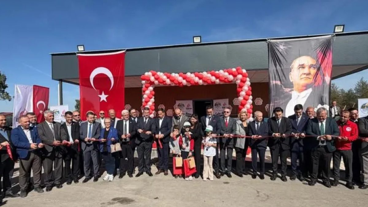 Edirne sahipsiz hayvan doğal yaşam alanı açılışı, 42 dönümlük tesiste sokak hayvanları