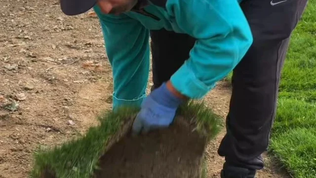 Kartaltepe piknik alanında çim serimi ve küptaş döşemesi yapan belediye ekipleri