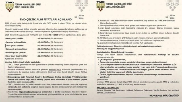 TMO Çeltik Alım Fiyatları Açıklandı: Baldo 45 TL