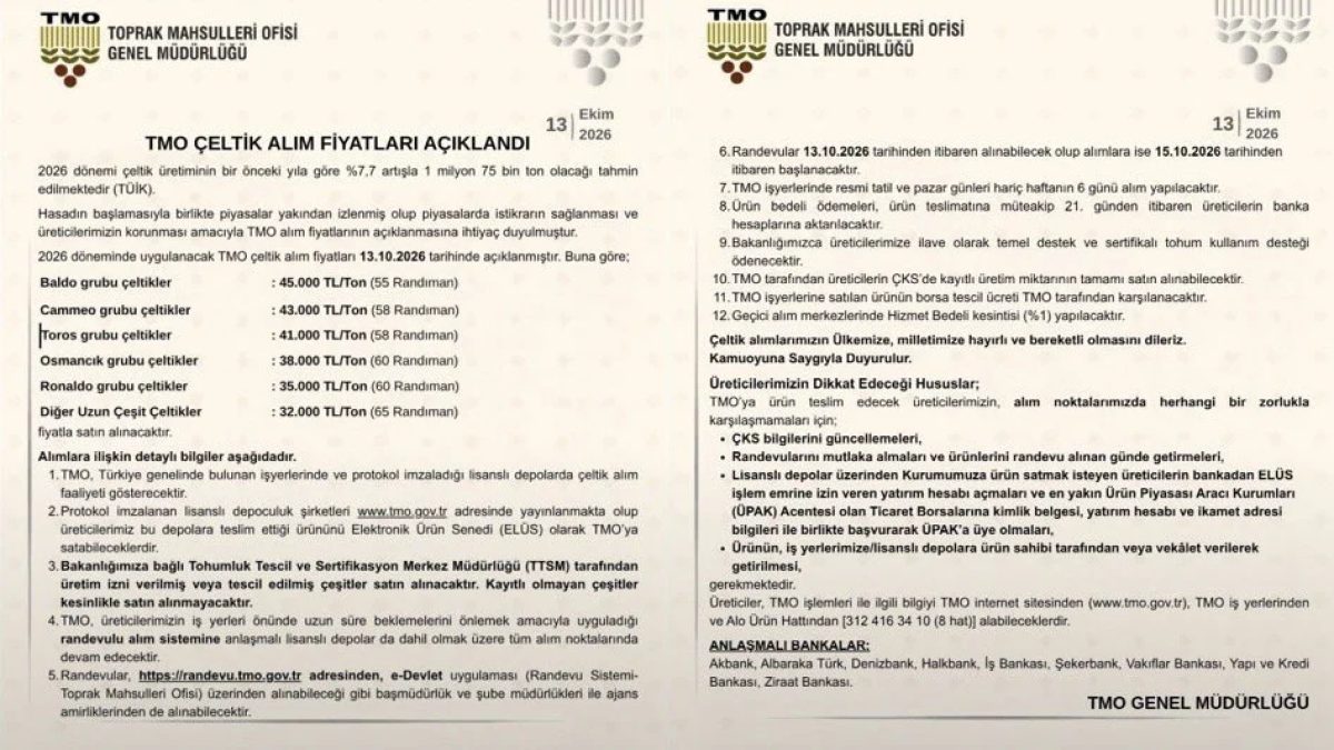 TMO çeltik alım fiyatları açıklandı: Baldo 45 TL, Cameo 43 TL, Osmancık 38 TL