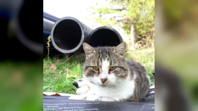 Lüleburgaz içme suyu hattı yenileme çalışması, 315 mm çapında borular